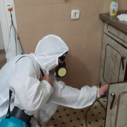 Дезинфекция от муравьев в квартире в Лысково