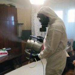 Дезинфекция от клопов в Лысково