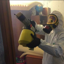 Уничтожение клопов в квартире. Лысково